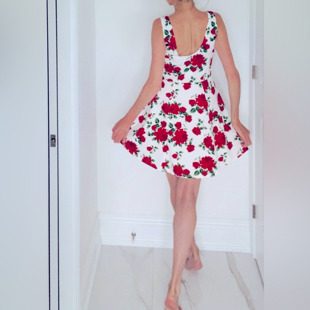 Sweet Classic Rose Fit and Flare Summer Dress🌹🌹🌹